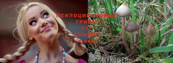гашик Краснослободск