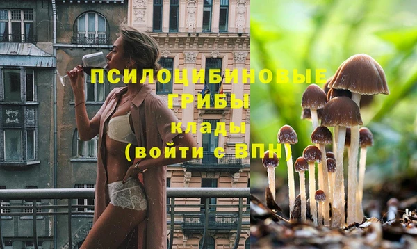 гашиш Абинск