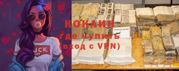 гашик Краснослободск