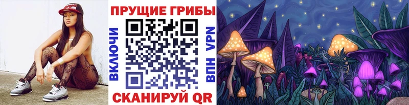 Галлюциногенные грибы Psilocybe  где найти   Нестеровская 